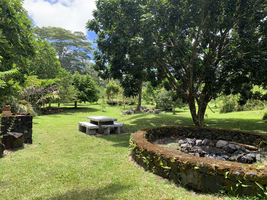 sunshine sacred sanctuary