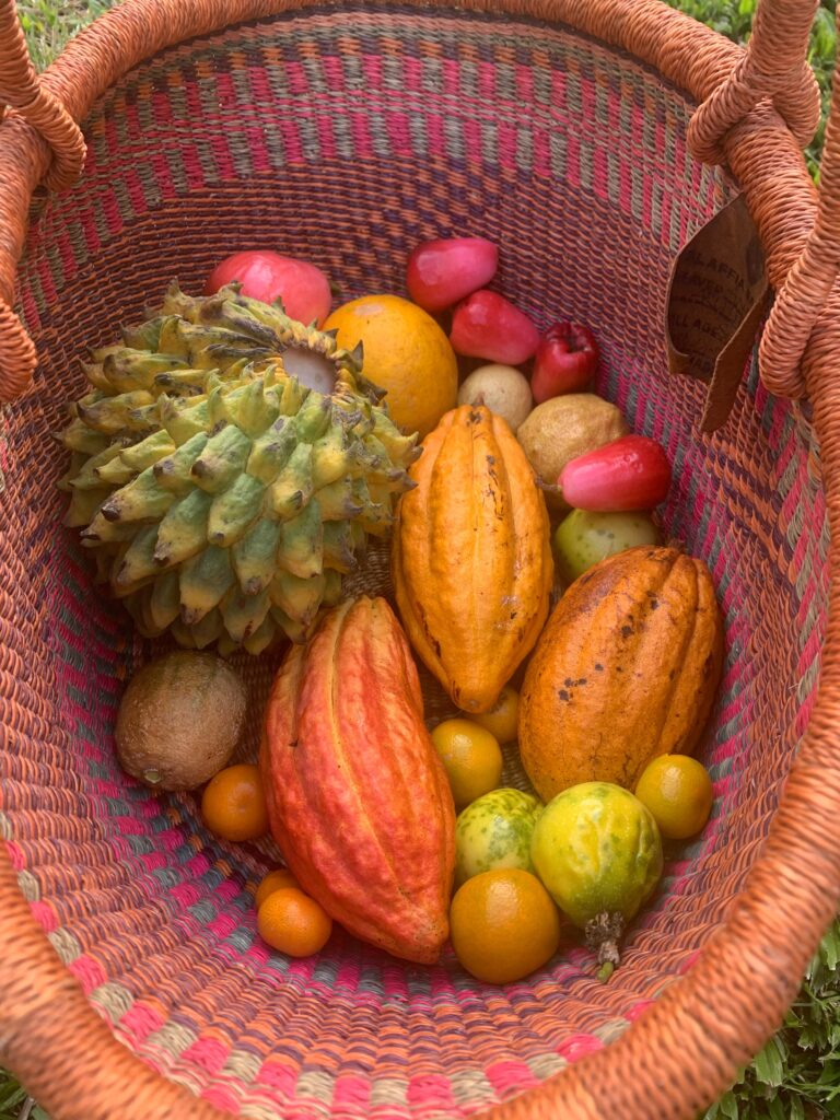 fruit basket